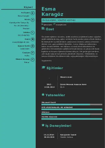 Yönetici Asistanı Cv Örnekleri cv indir